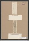 Navicula sp. (de-Toni-Nr.: Genus 1) Zeichnungen Sammlung Grunow Nr. 1340 (NHMW-BOT-W0368274)